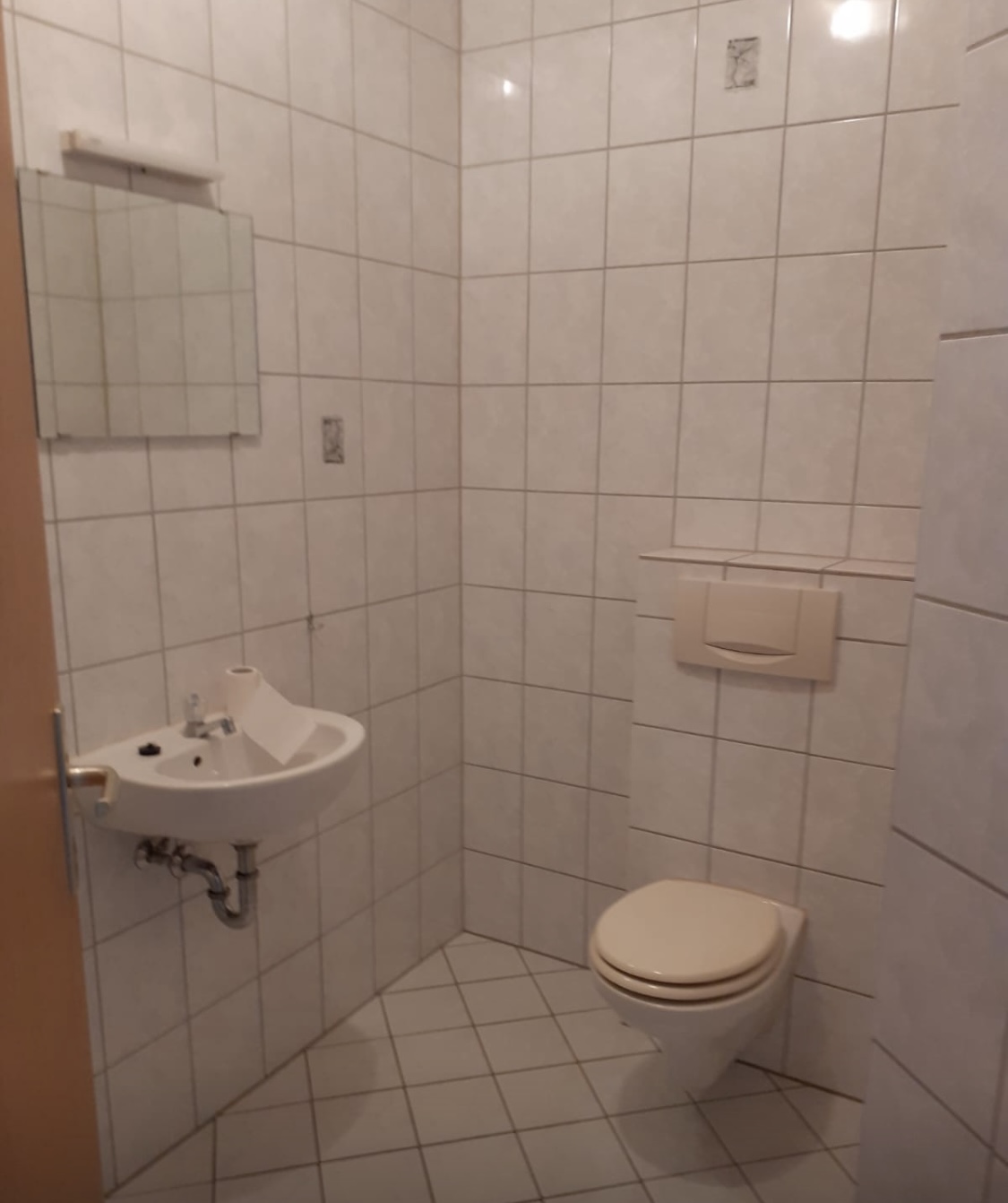 Gäste-WC in Trier vor der Renovierung
